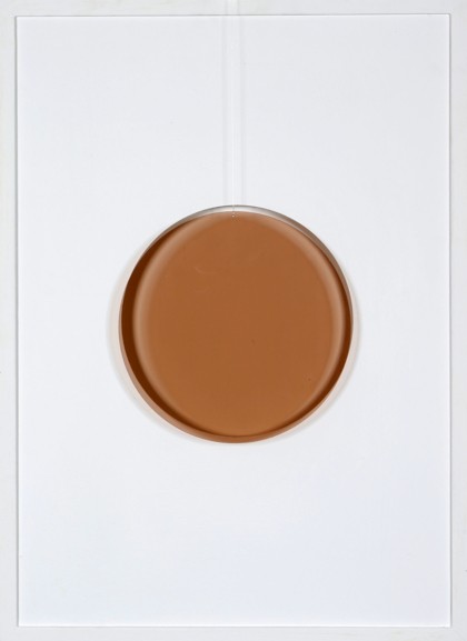 Lot 49 - Sara Campesan