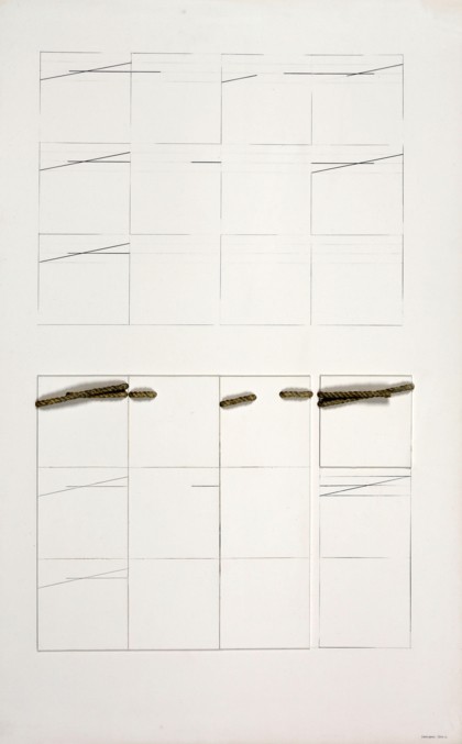 Lot 51 - Giovanni Campus