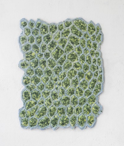 Lot 1 - Alberto Scodro