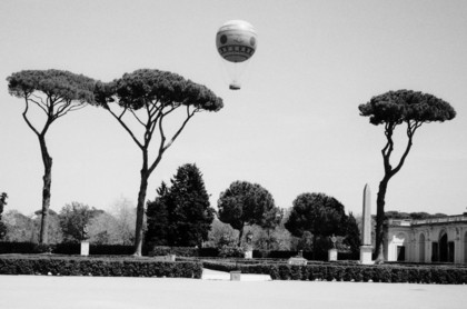 Lot 30 - Anna Vivante