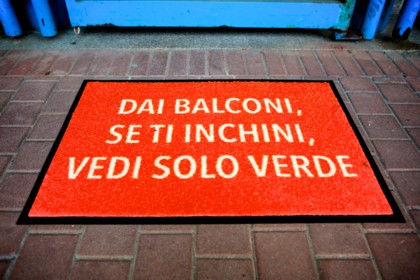 Lot 49 - Elena Mazzi