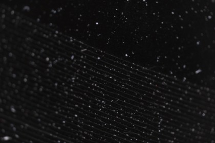 Lot 70 - Daniele Zoico