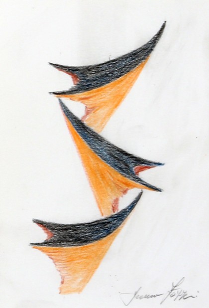 Lotto 99 - Franco Zazzeri