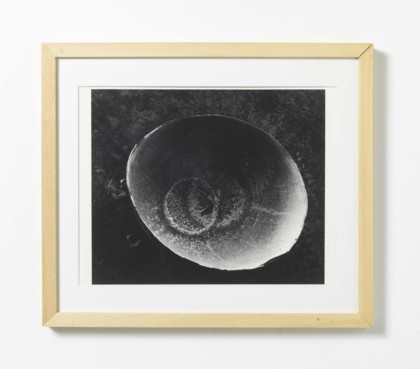 Lot 215 - Minor White