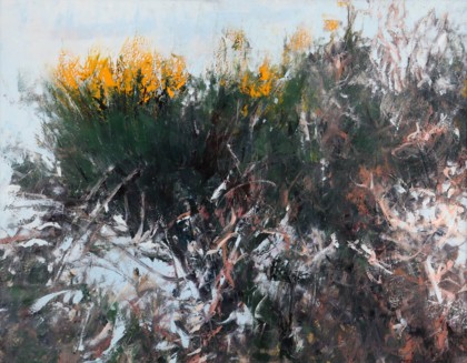 Lotto 22 - Giancarlo Cazzaniga