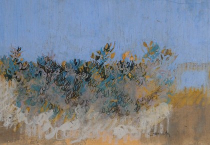 Lotto 38 - Giancarlo Cazzaniga