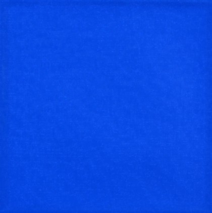 Lotto 29 - Sonia Costantini