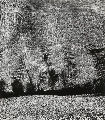 Lotto 20 - Mario Giacomelli