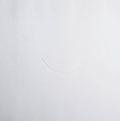 Lot 99 - Turi Simeti