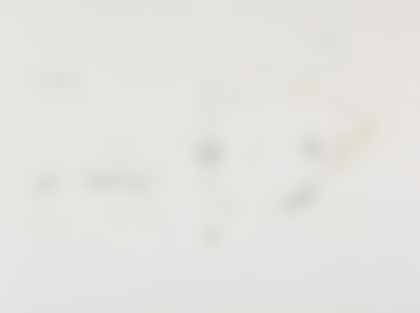 Lotto 76 - Gianfranco Baruchello