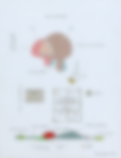 Lot 75 - Gianfranco Baruchello