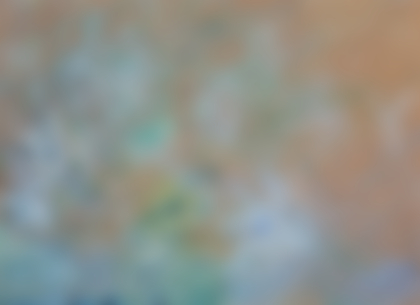 Lotto 99 - Mikhail Larionov