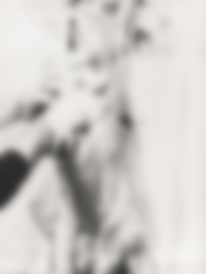 Lotto 42 - Hermann Nitsch