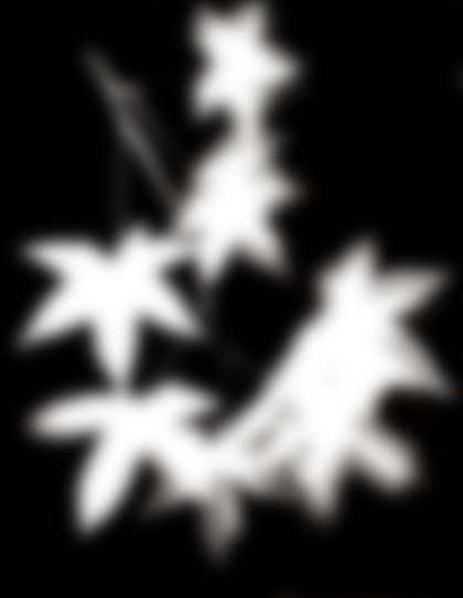 Lot 18 - Henri Foucault