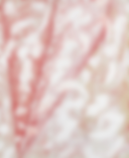 Lot 202 - Angelo Savelli