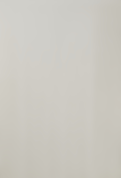 Lot 66 - Sandro De Alexandris