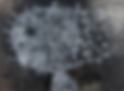 Lot 172 - Andre Poujet