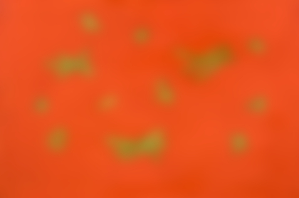 Lot 177 - Giulio Turcato