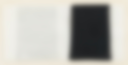 Lotto 268 - Dorothea Rockburne