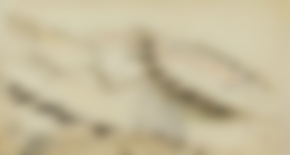 Lot 181 - Zoran Antonio Music