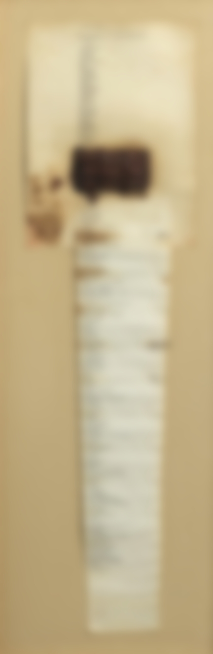 Lot 335 - Joseph Beuys