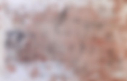 Lot 59 - Hermann Nitsch