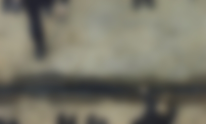 Lot 309 - Robert & Shana Parkeharrison