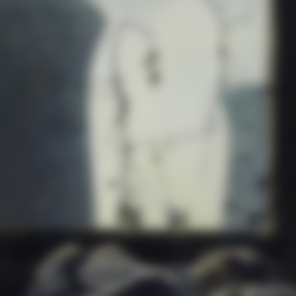 Lotto 310 - Robert & Shana Parkeharrison