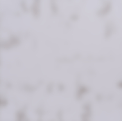 Lotto 342 - Noël Dolla