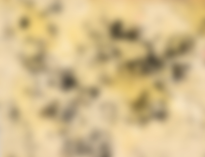 Lot 240 - Jaroslav Serpan