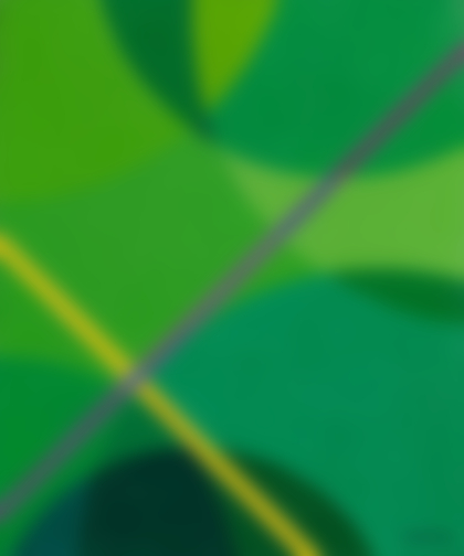 Lotto 34 - Luigi Veronesi