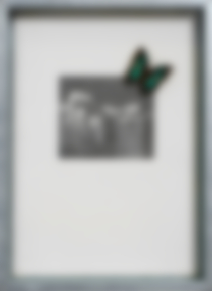 Lotto 321 - Jannis Kounellis