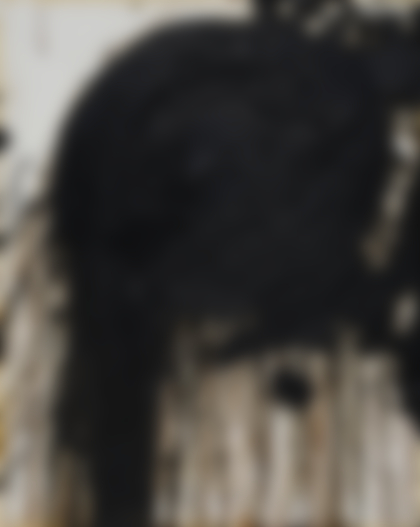 Lotto 50 - Hermann Nitsch