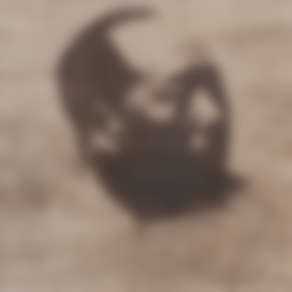 Lotto 309 - Thomas Ruff