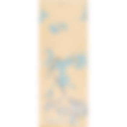 Lotto 62 - Mario Schifano