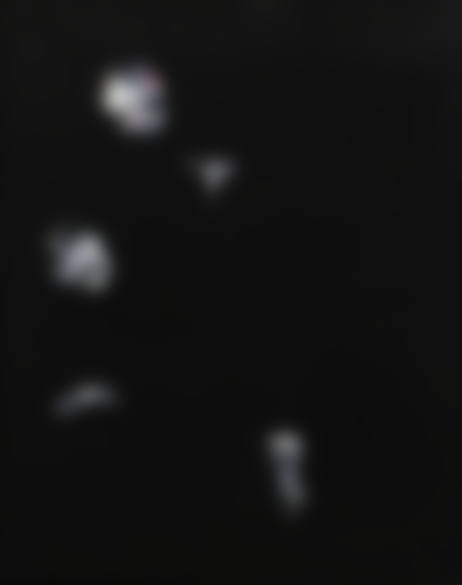 Lot 302 - Lorenzo Puglisi