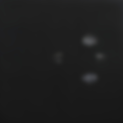 Lot 301 - Lorenzo Puglisi