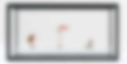 Lotto 84 - Carsten Höller 