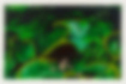 Lotto 248 - Mario Schifano