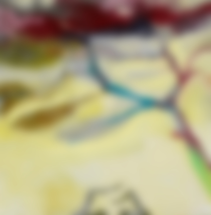 Lotto 170 - Meghan Shawnee Littlewood