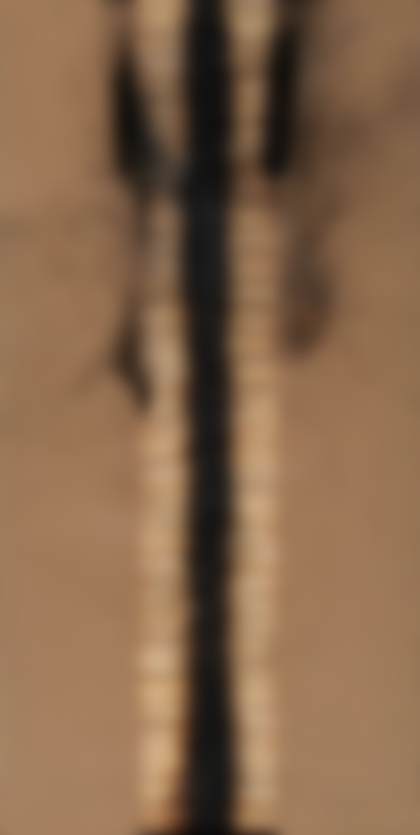 Lotto 71 - Bernard Aubertin