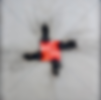 Lotto 15 - Bernard Aubertin