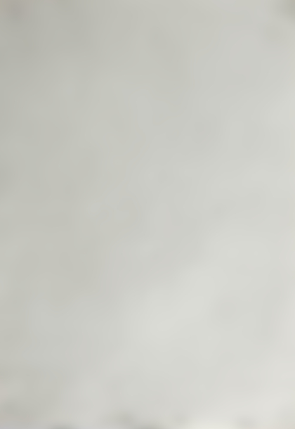 Lotto 116 - Hans Bischoffshausen