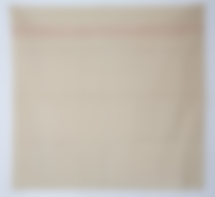 Lotto 104 - Giorgio Griffa