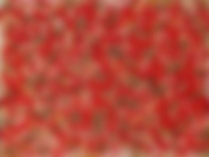 Lot 47 - Angelo Savelli