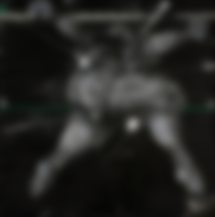 Lotto 132 - Vladimir Velickovic