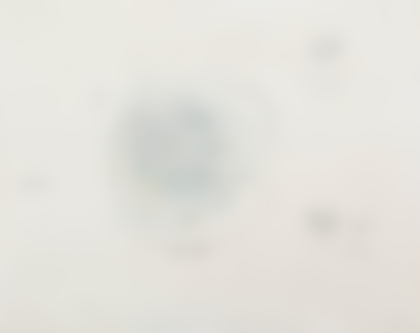 Lot 162 - Gianfranco Baruchello