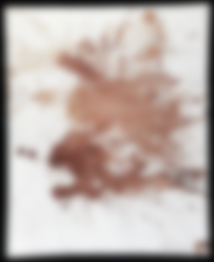 Lot 48 - Hermann Nitsch