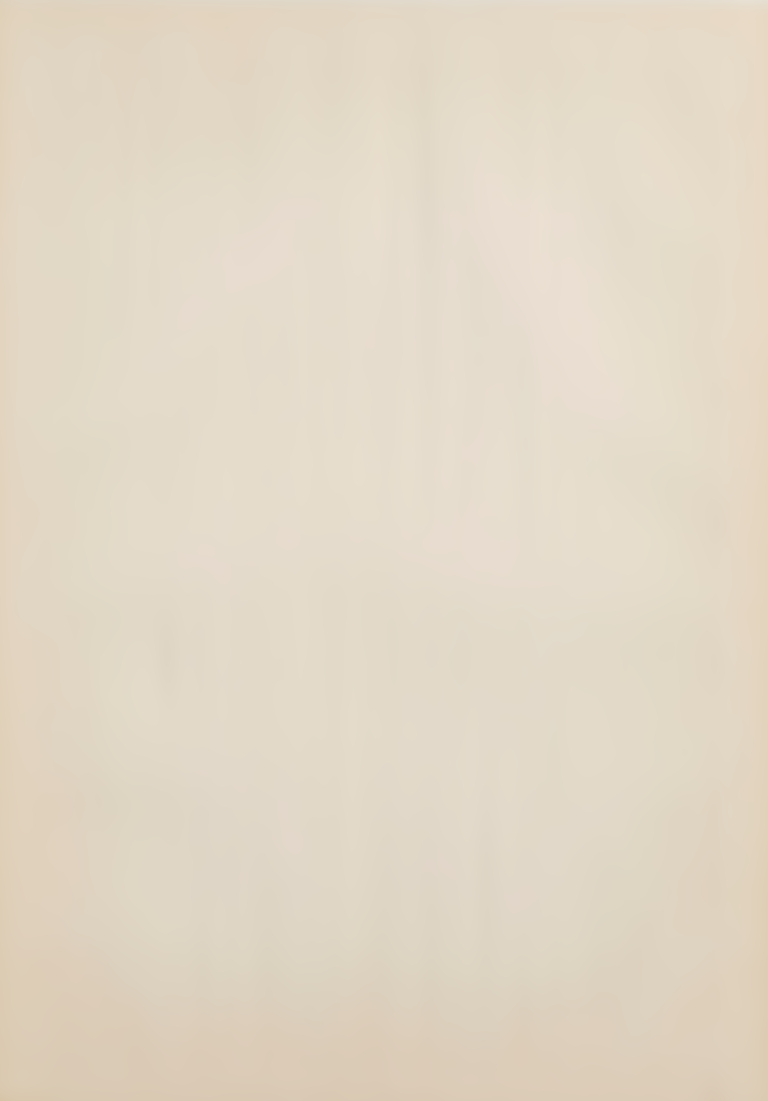 Lot 43 - Sandro De Alexandris