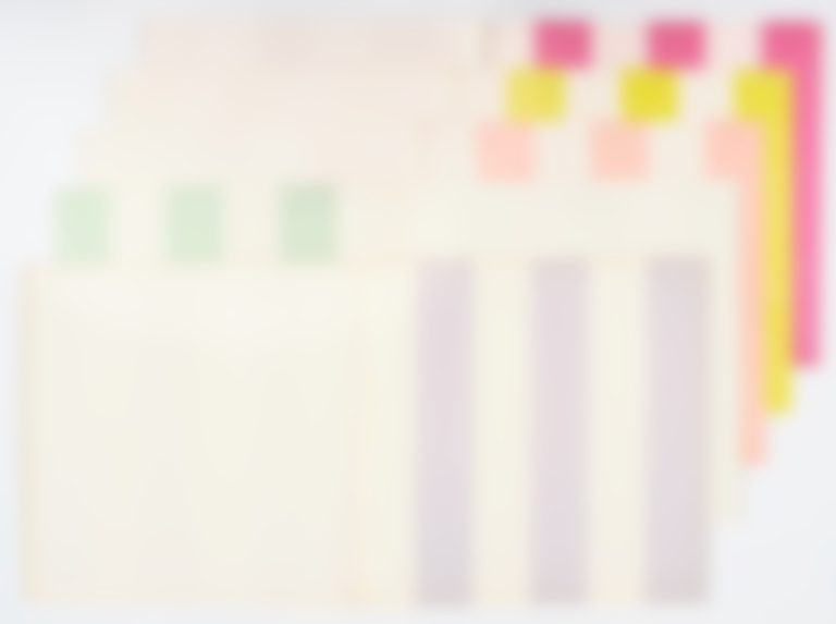 Lotto 116 - Daniel Buren